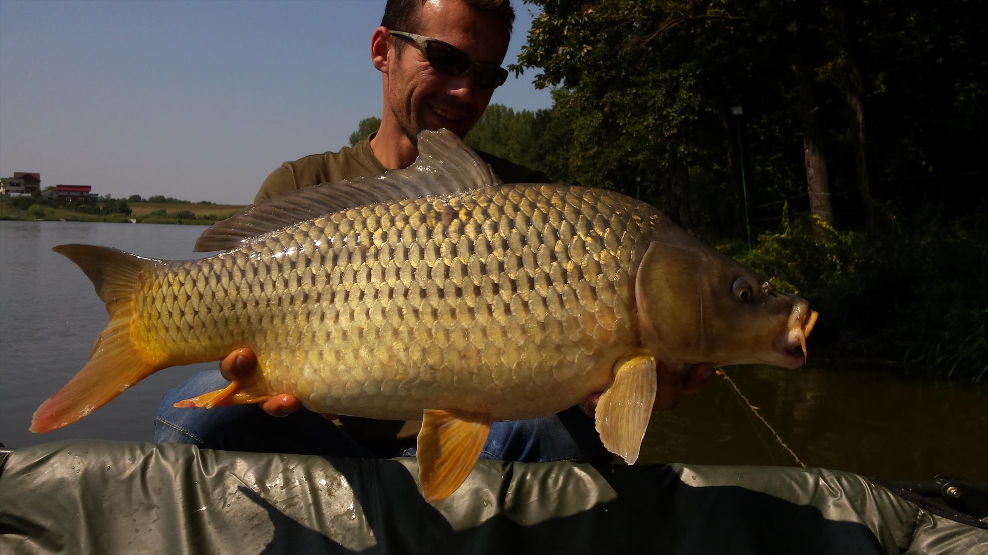 Moara Vlasiei 2 28 - 29 august 2015 - 201508291304421.jpg